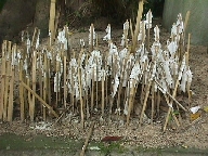 Close-up of the goheis.