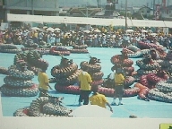 Kagura matsuri, Masuda, Western Shimane.