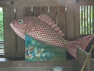 The tai (sea bream).